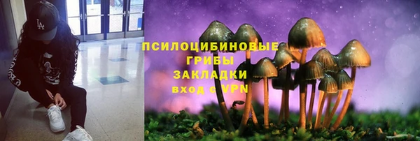 индика Алзамай