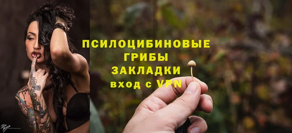 соль ск Алексин