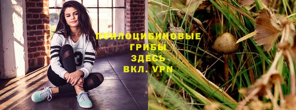 индика Алзамай