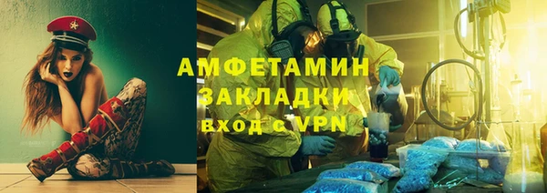 индика Алзамай
