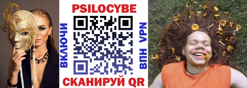 Псилоцибиновые грибы Cubensis  где купить   Оленегорск 
